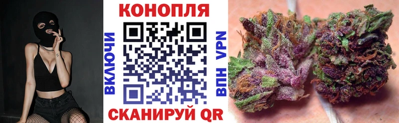 Купить где  Тотьма  Бошки Шишки тримм 
